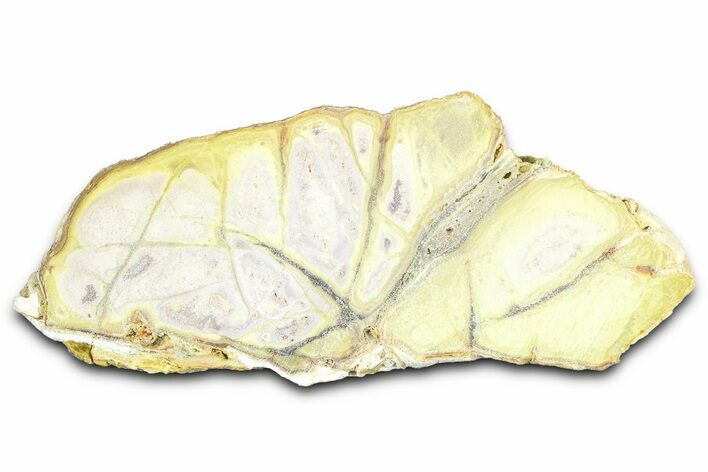 Clay Canyon Crandallite and Wardite - Old Collection Stock #362046